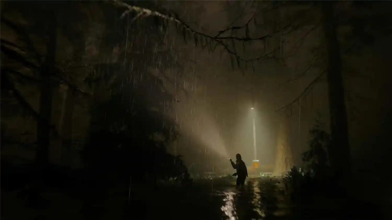 1698407735119031.jpg 心灵杀手2/Alan Wake 2